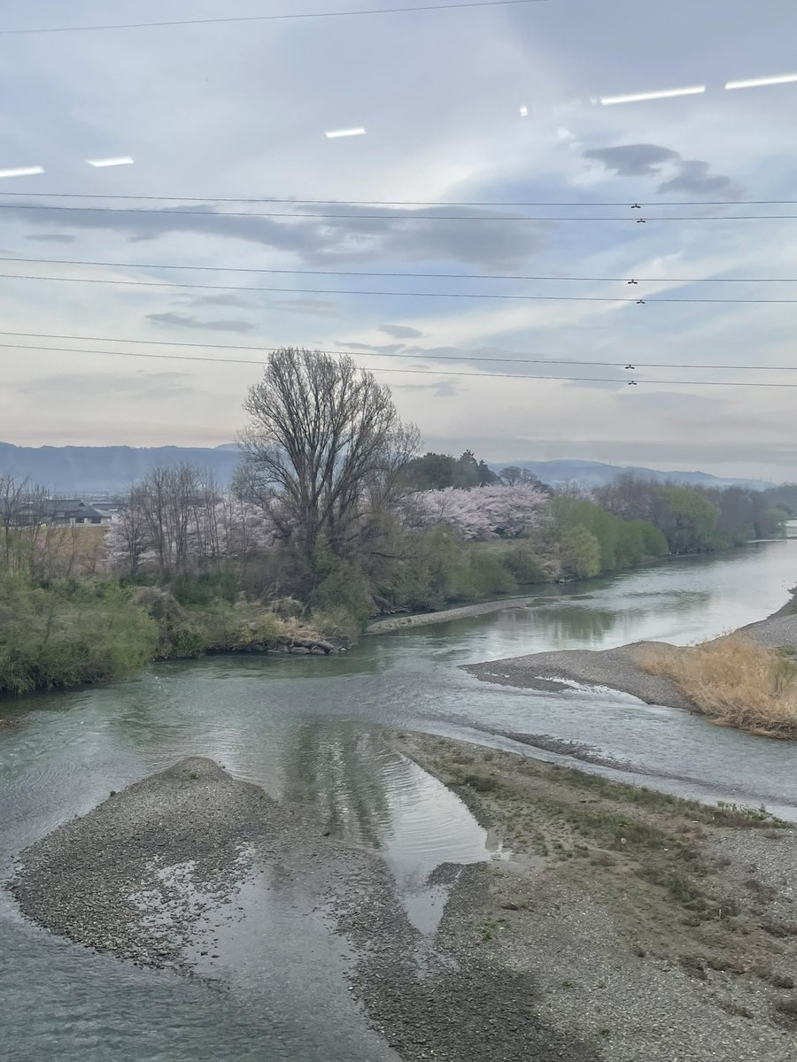 ペルシア tweet media