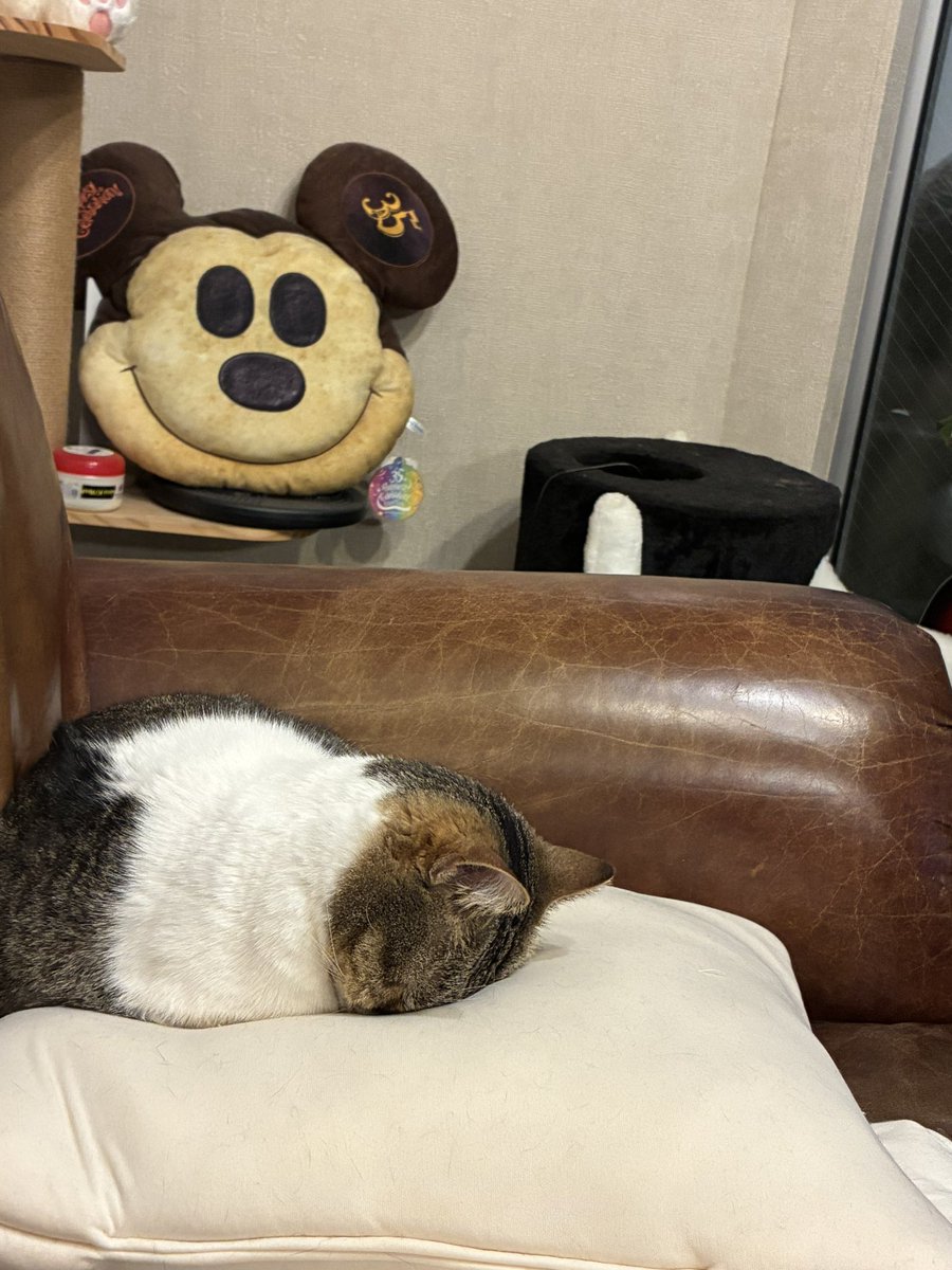 そらみ tweet media