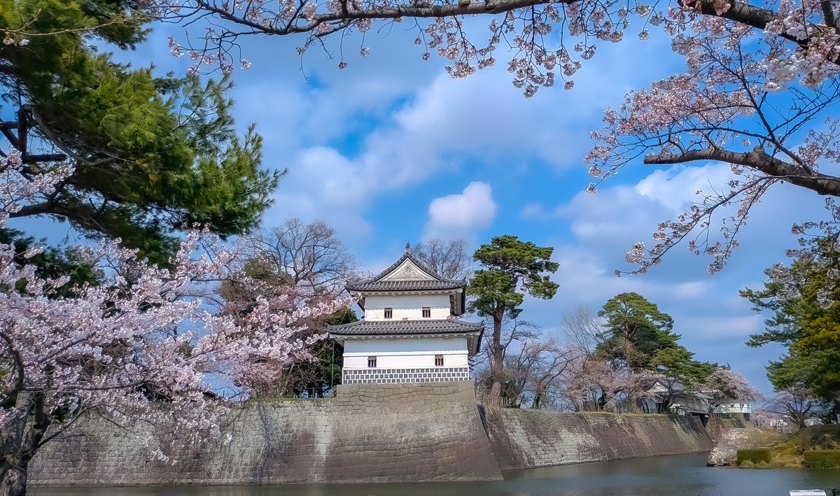 マコ@Portrait•photo/Red Bull 3 tweet media