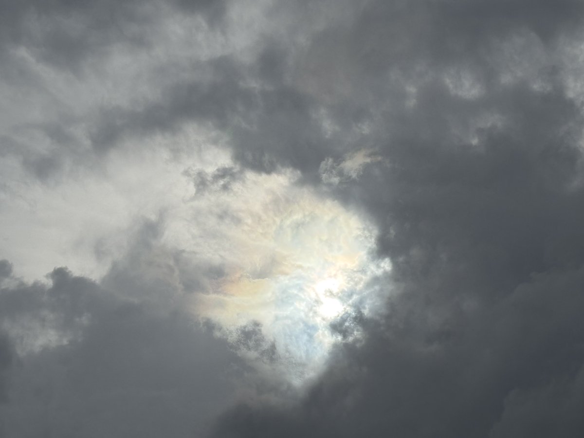 N0I2THST4R H0Ly Gh0st tweet media