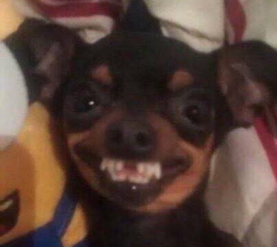 Yuda_☄️ tweet media