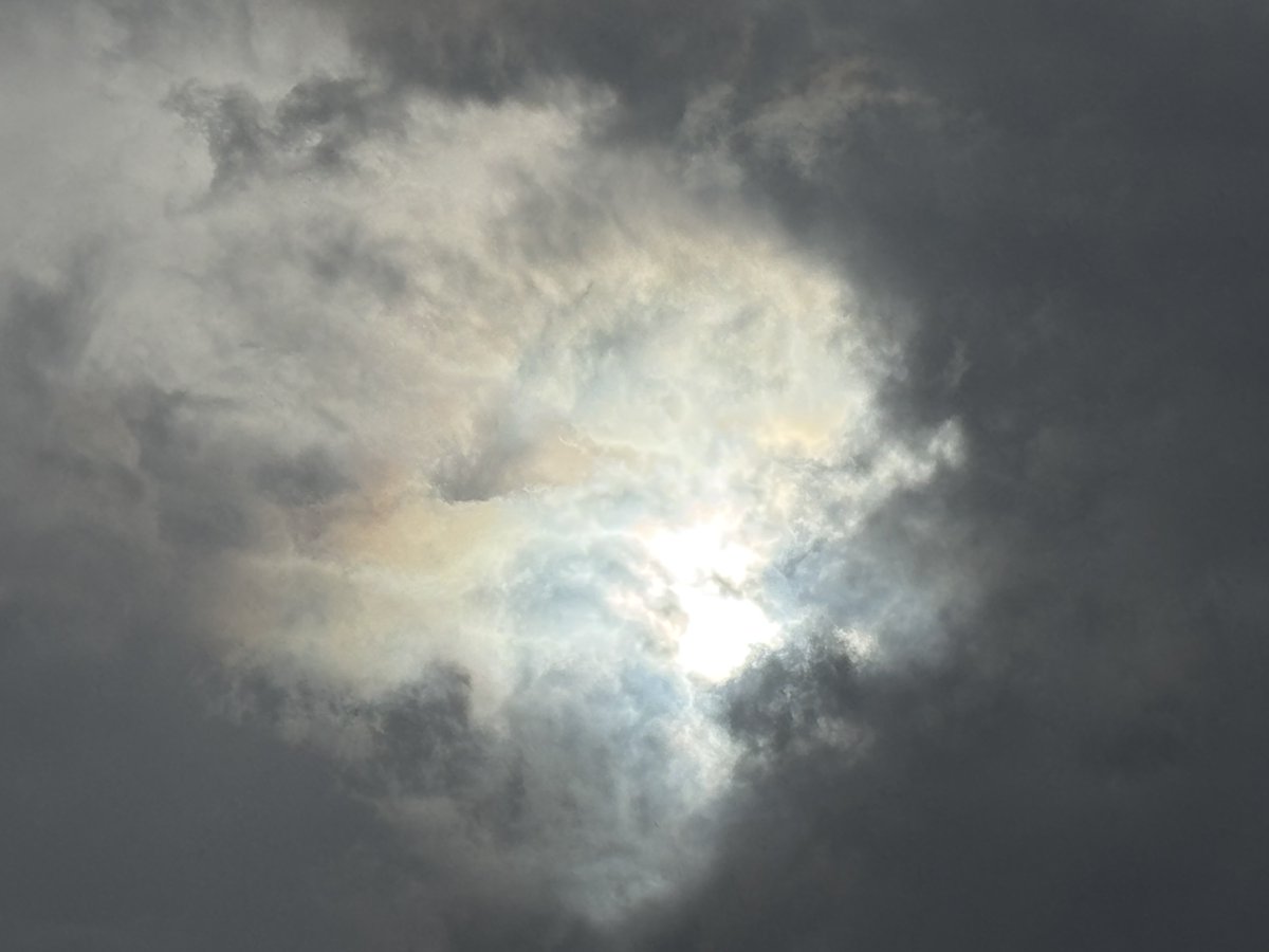 N0I2THST4R H0Ly Gh0st tweet media