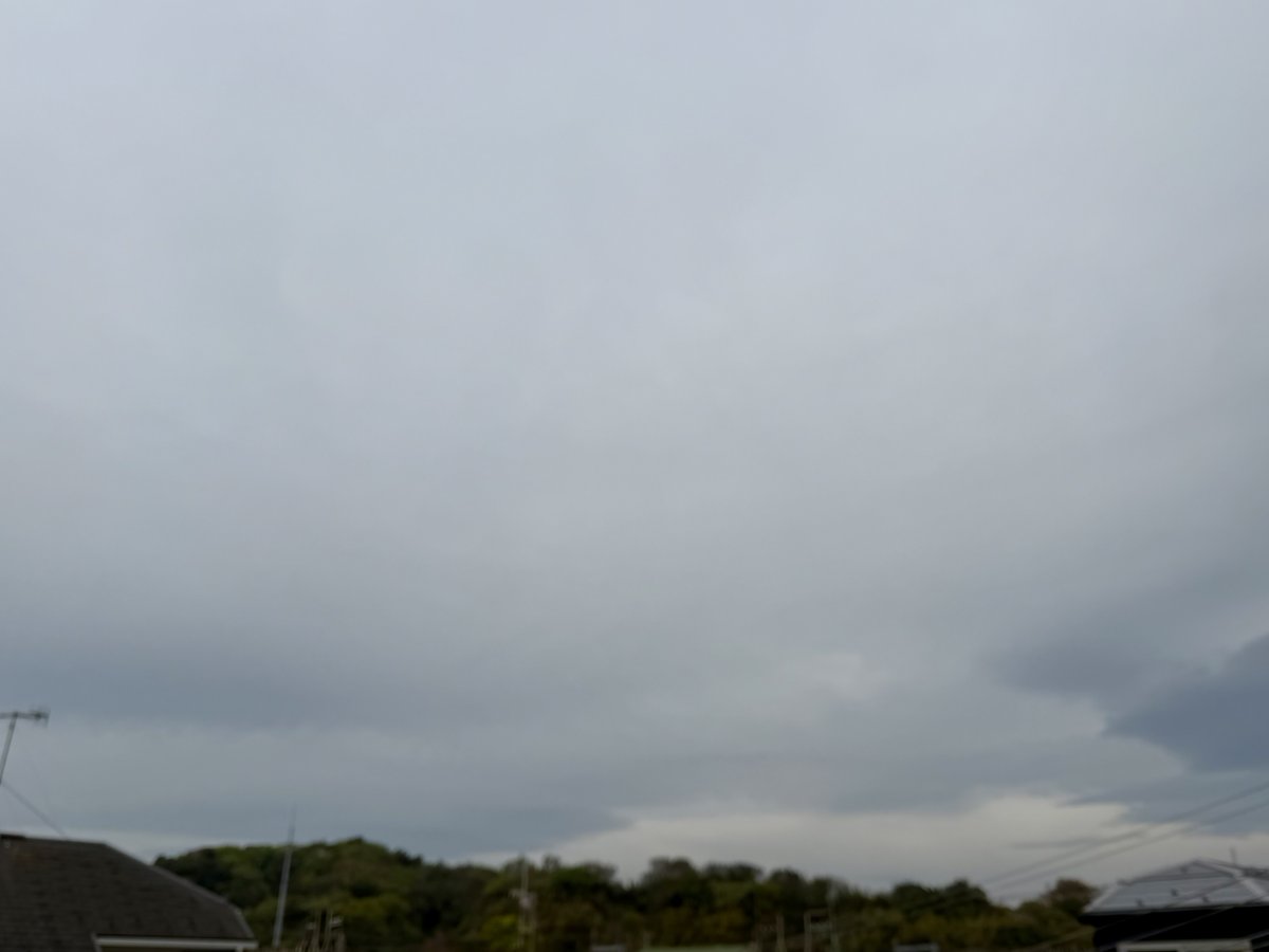 tamiya 🗻🦅🍆🇯🇵 tweet media