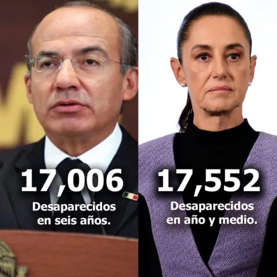 Peregrino tweet media