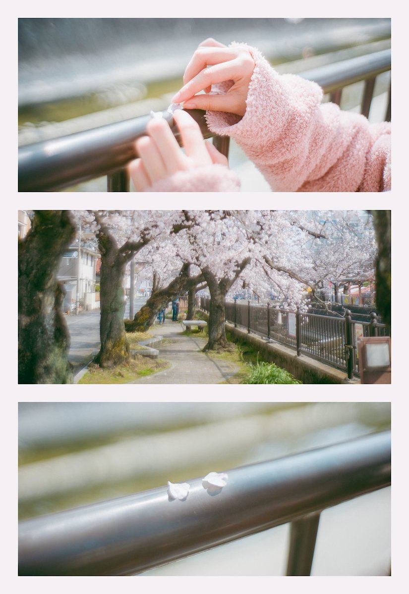 9216 kunihiro tweet media