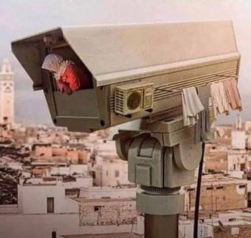 Avatar-1 tweet media