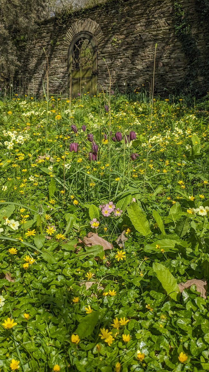 robinmmorrison's tweet photo. Entrance to the garden at #Hestercombe #Taunton #Somerset this weekend. https://t.co/2bi7PTO5gf