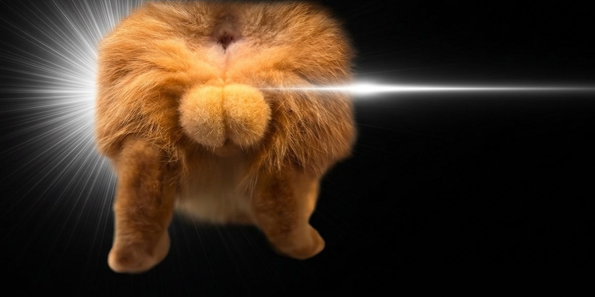 キムチ母‼️ tweet media