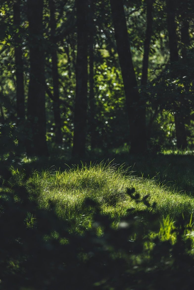 The Brothers tweet media