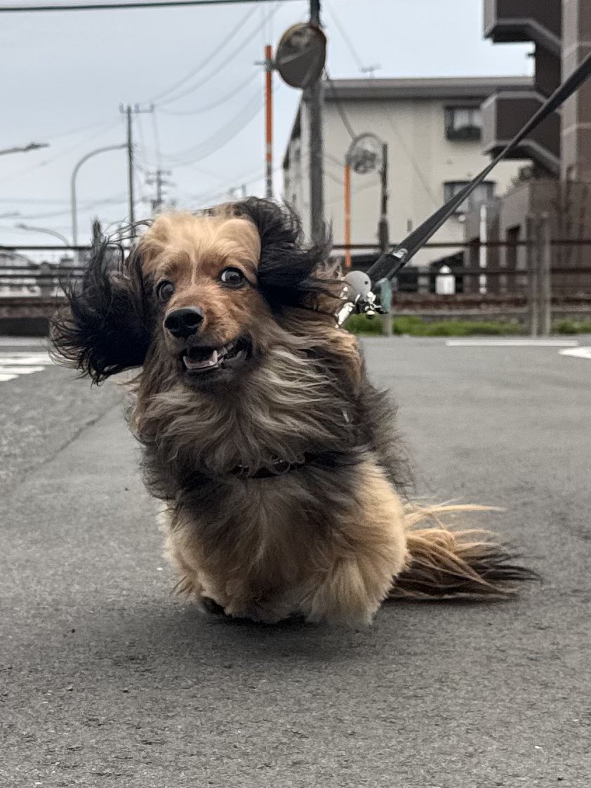 おこげ(大爆発) tweet media