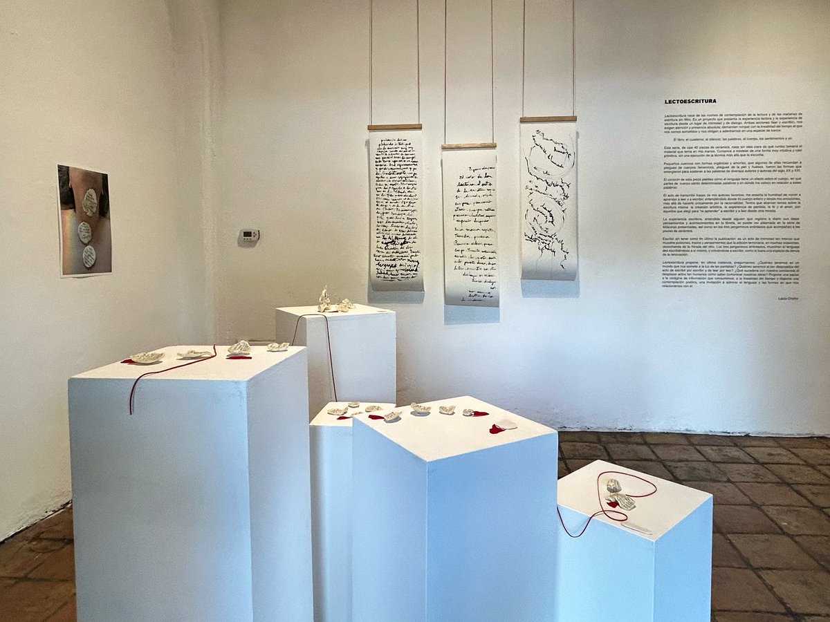 "Lectoescritura", proyecto expositivo de Laiza Onofre, en exhibición en la Sala de la Estampa, del Museo Metropolitano de Monterrey.

Presentada por Transliterado, la propuesta puede ser visitada de martes a domingo, de 10:00 am a 5:00 pm; hasta el domingo 19 de abril de 2026.