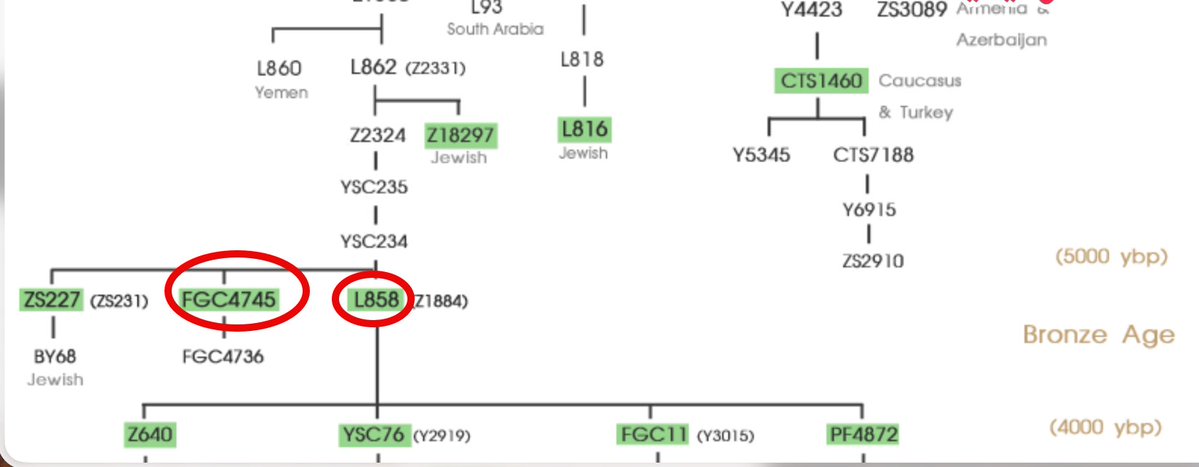عبدالله بن عاصي tweet media