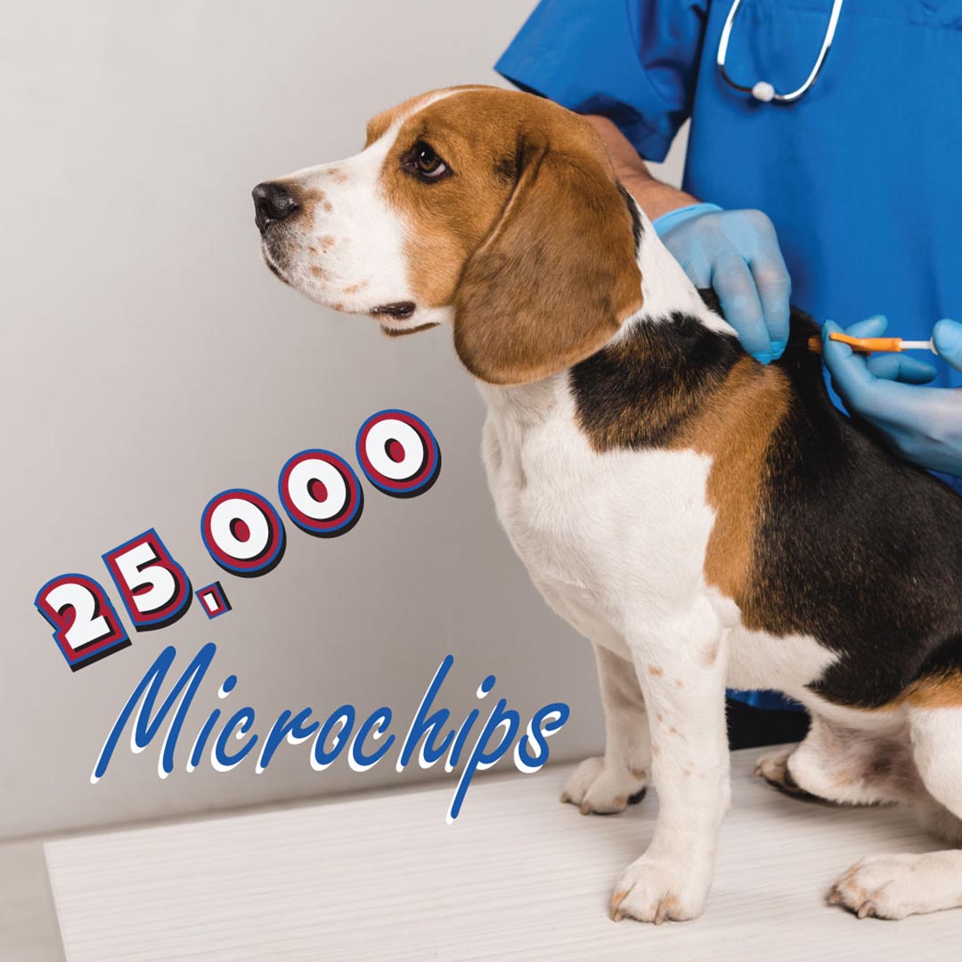 PWSPCA's tweet photo. We are proud to announce our microchip program has reached a milestone. 25,000 microchips have been donated to the PWC Animal Services Center @PWCAnimals. All pets adopted and redeemed from the shelter since '14 have received a complimentary microchip. Donation value: $250,000. https://t.co/KuZ06mZtw1