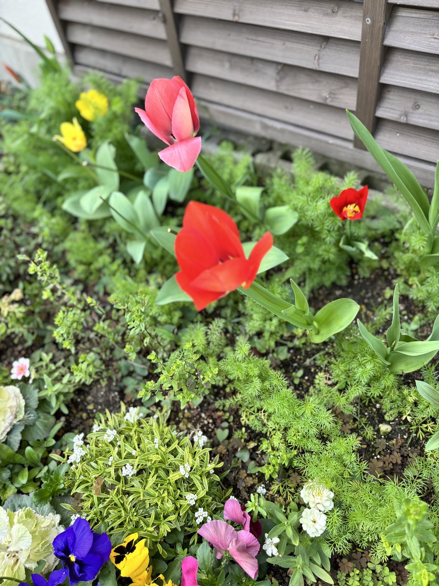 かいざわさん tweet media