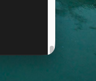 bit_sparkle tweet media