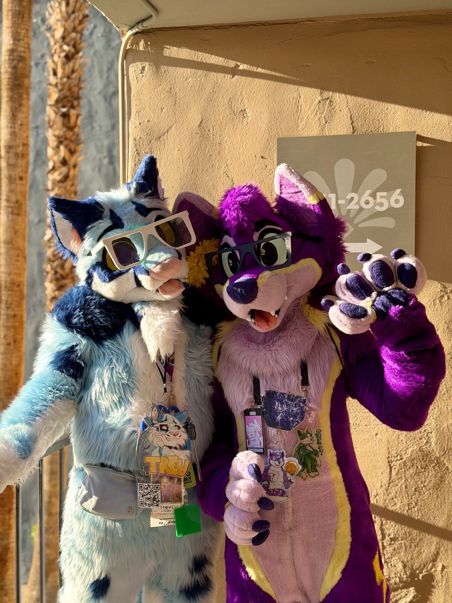 Trev 🔜 LVFC, FWA tweet media