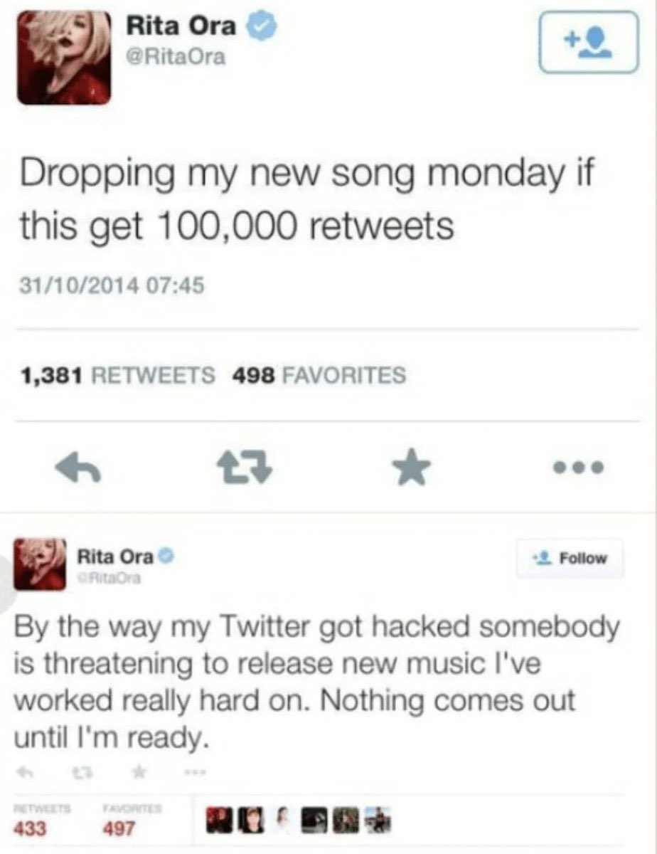 Please Rita Book tweet media