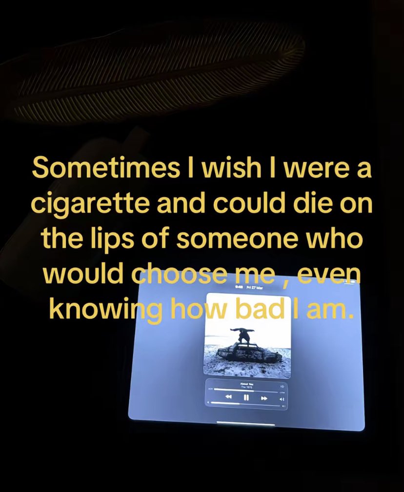 دوده tweet media