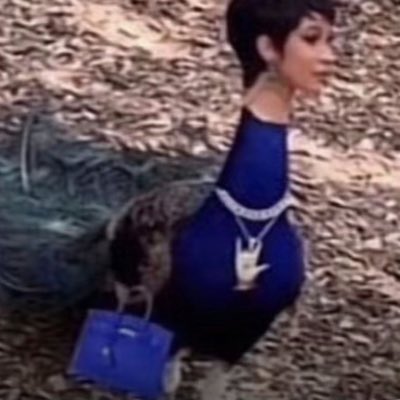🦚🐦‍⬛ (@BirdCalisx) / Posts / X