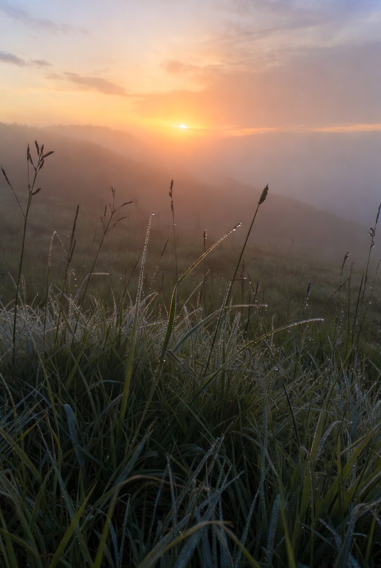 The Brothers tweet media