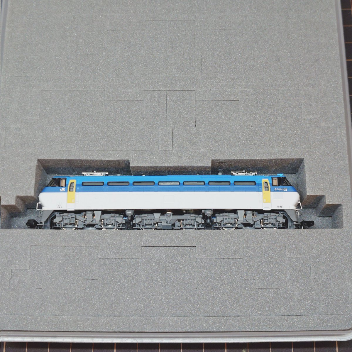 エヌシェル(Nshell) tweet media