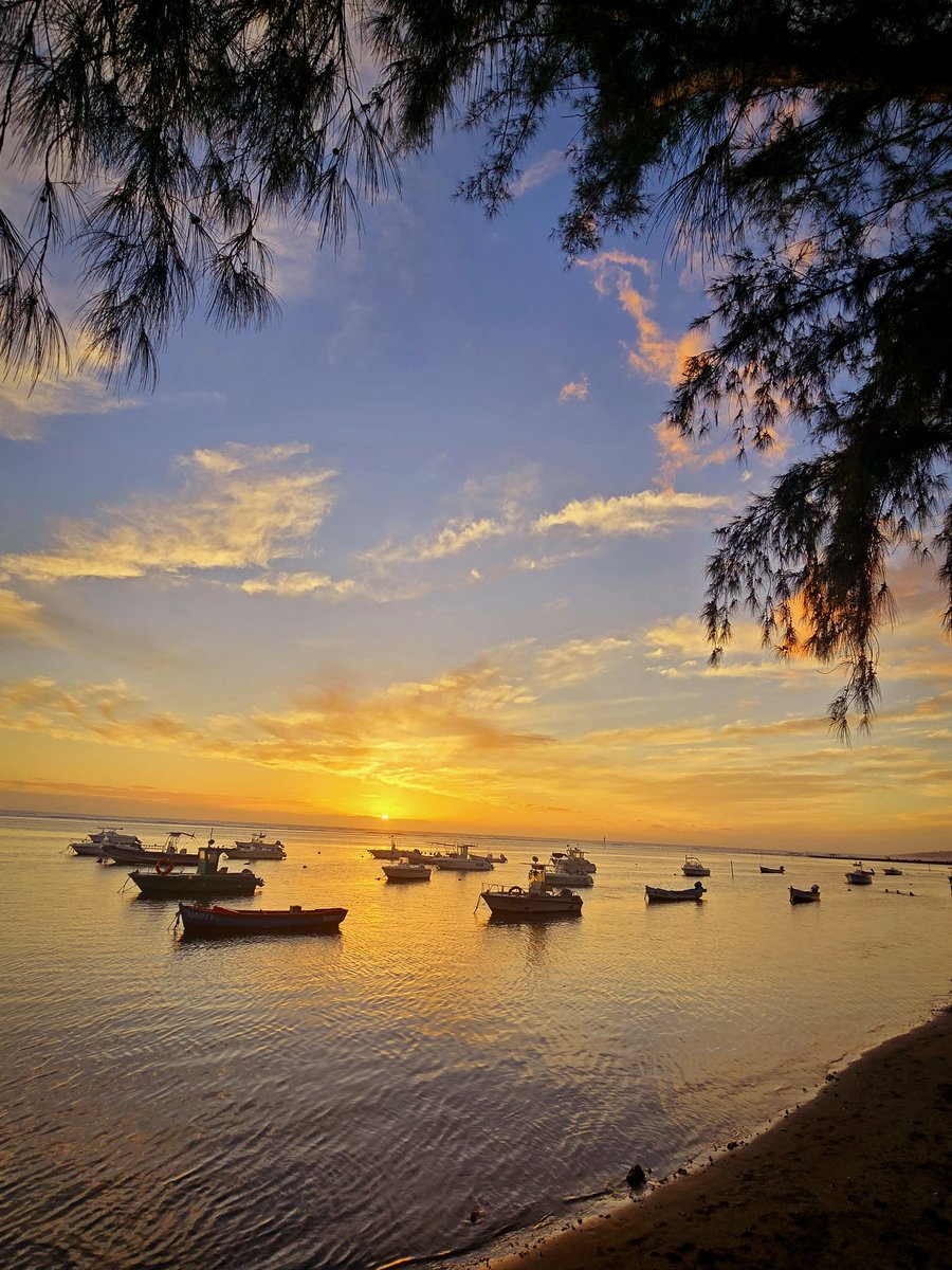 Aret plèr d'si tweet media