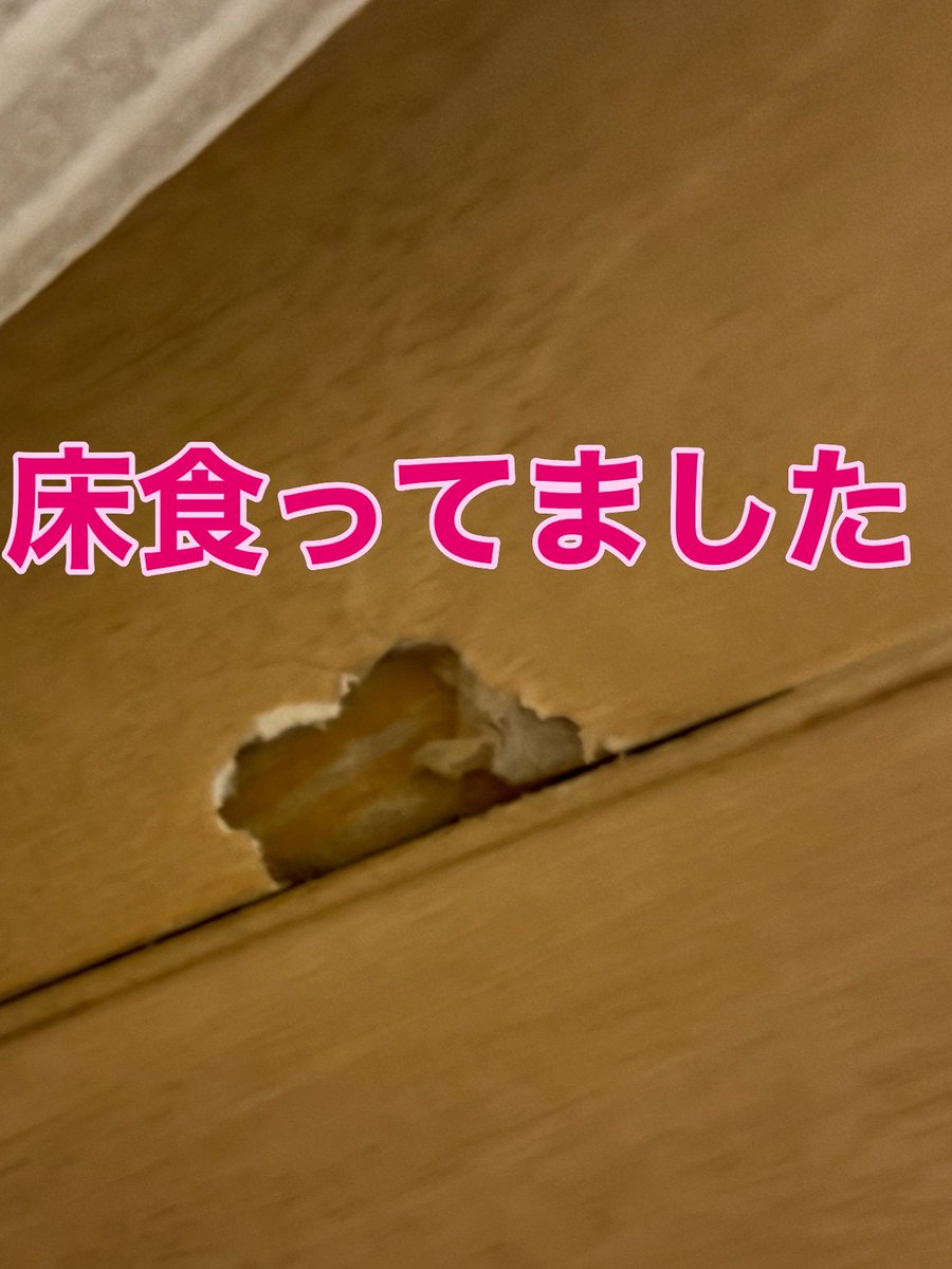 りりーくぽ✨あんず🐶 tweet media