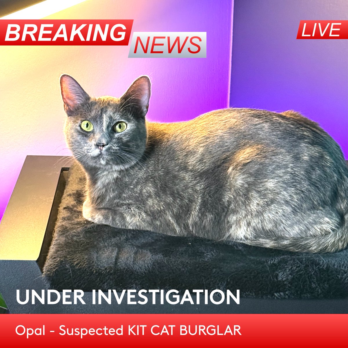 Logitech G tweet media