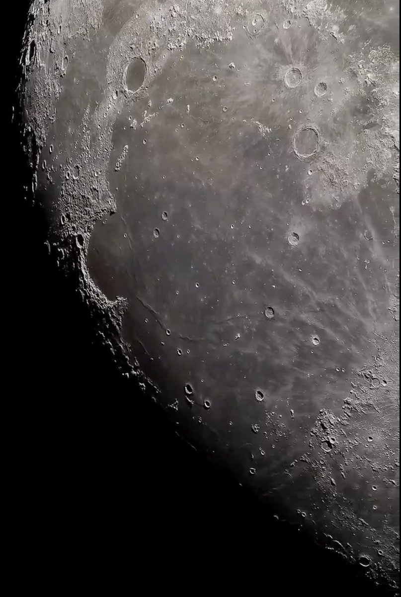 Luigi Pizzimenti tweet media