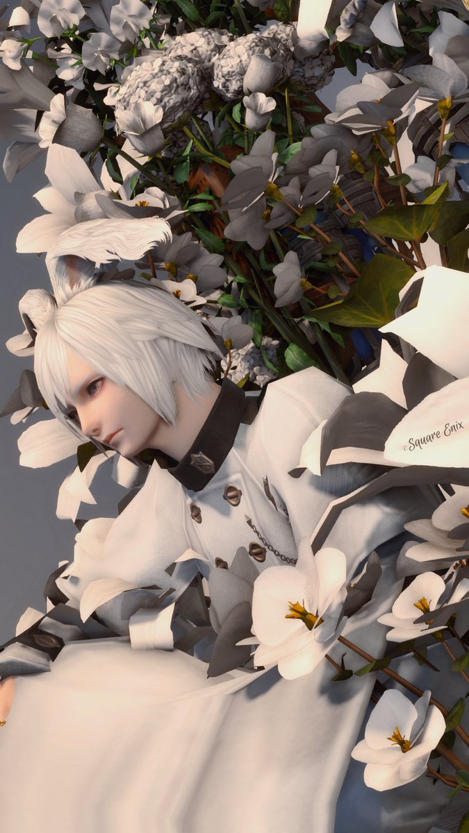 𝐄𝐜𝐡𝐨 tweet media