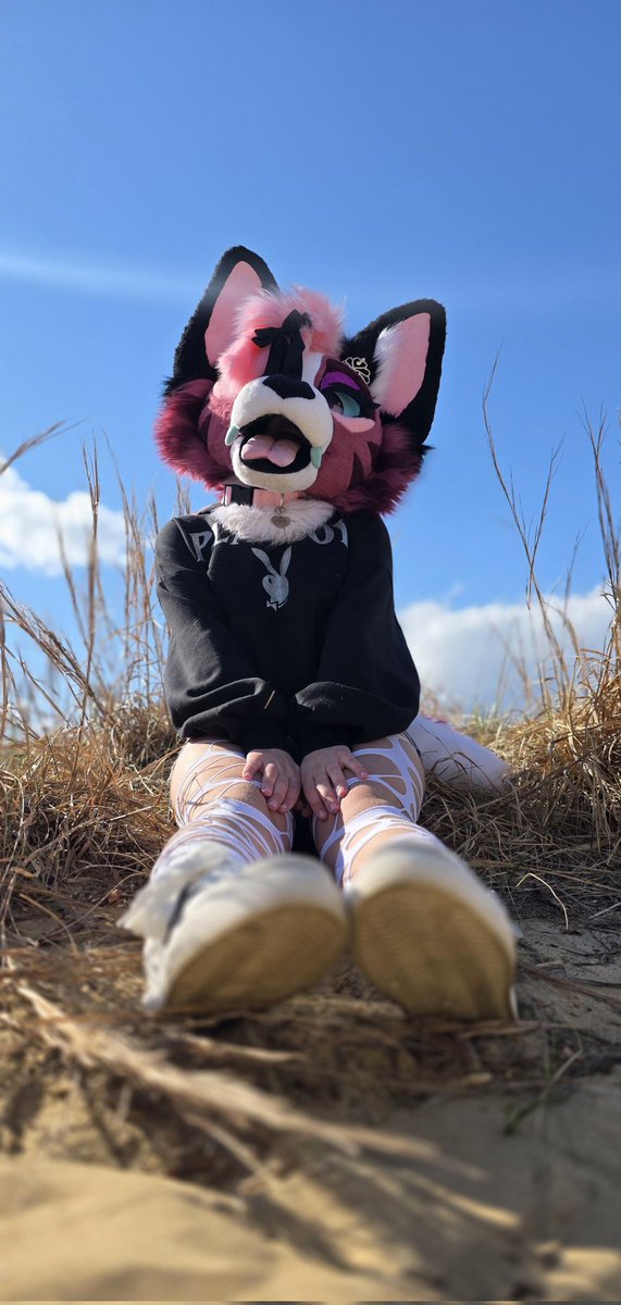 Lyla ✨️ tweet media