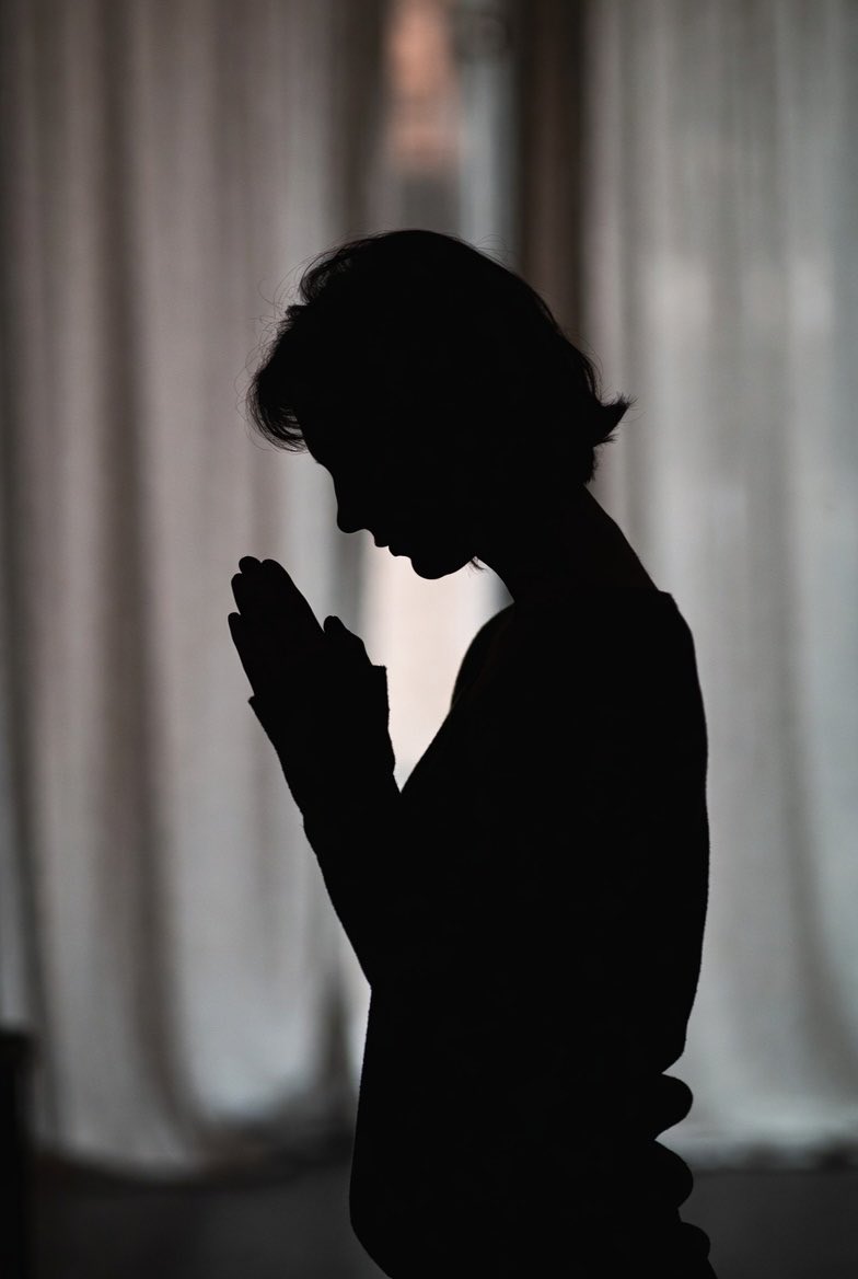 The Brothers tweet media