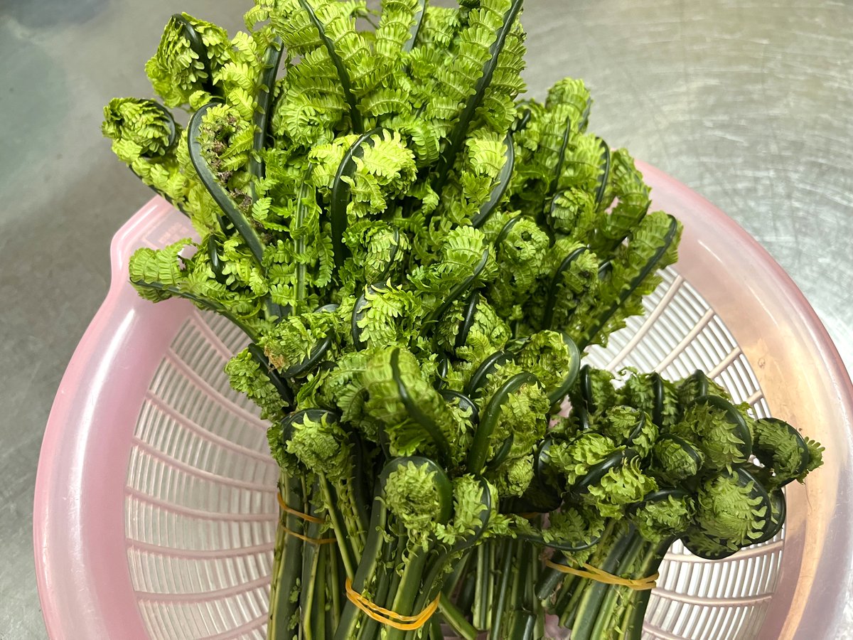 ホテル三陽 岩手県陸前高田市で創業90年公式 tweet media