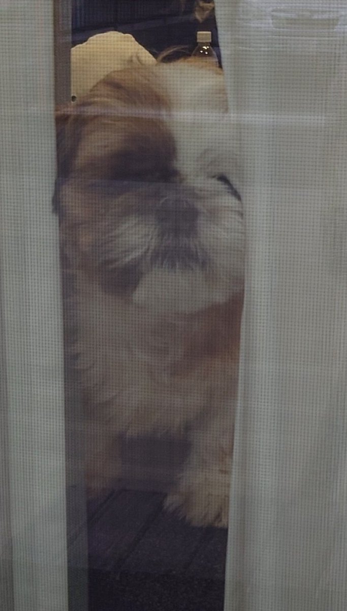 ドリンク tweet media