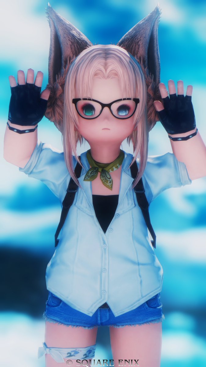 ゆきち🎂ネコフェル課 tweet media