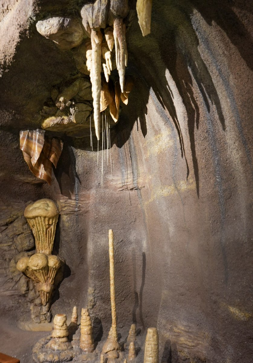 AZ Museum of Natural History tweet media