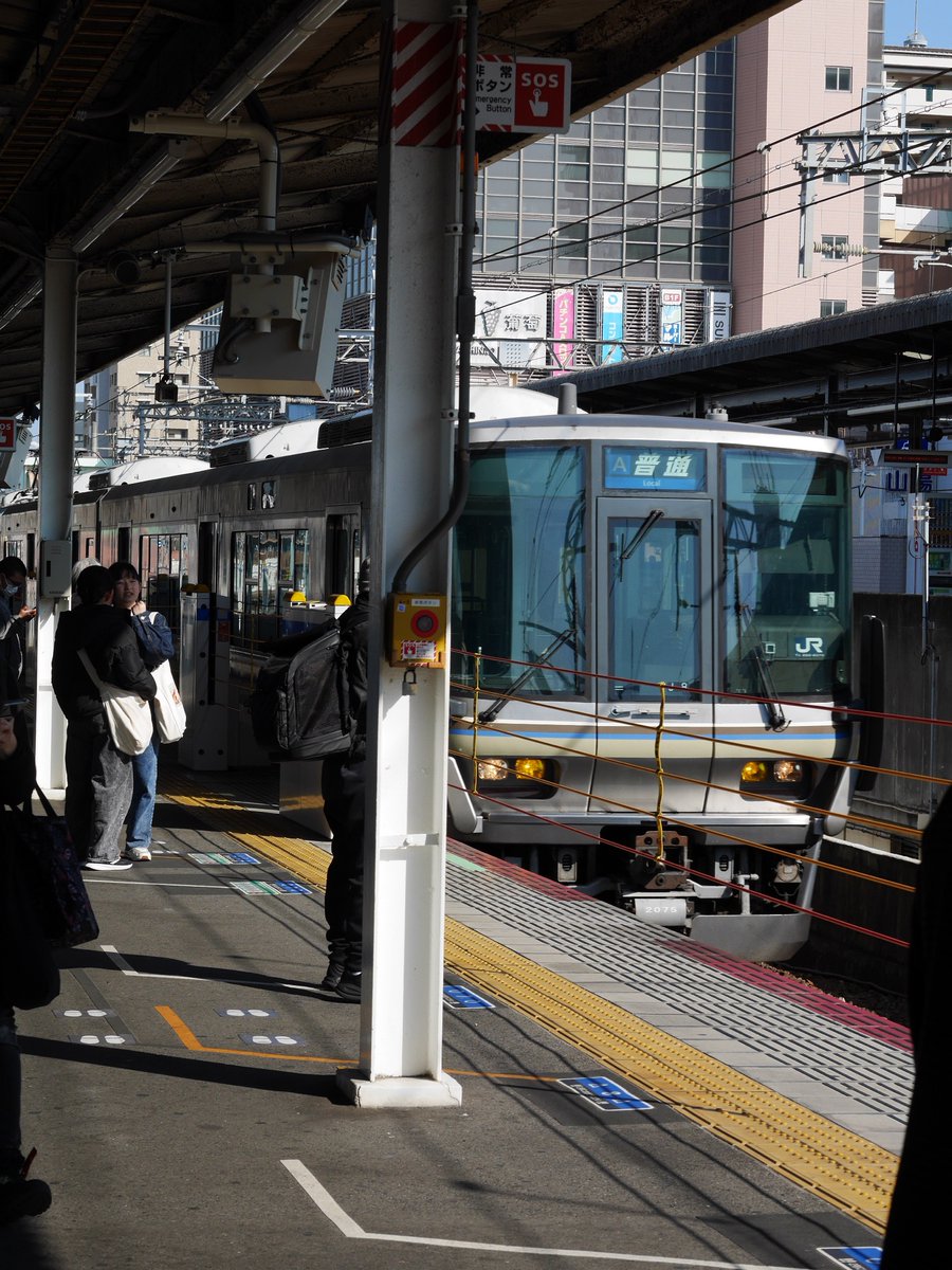 四国の(*・ω・)ﾏｽ♪ tweet media