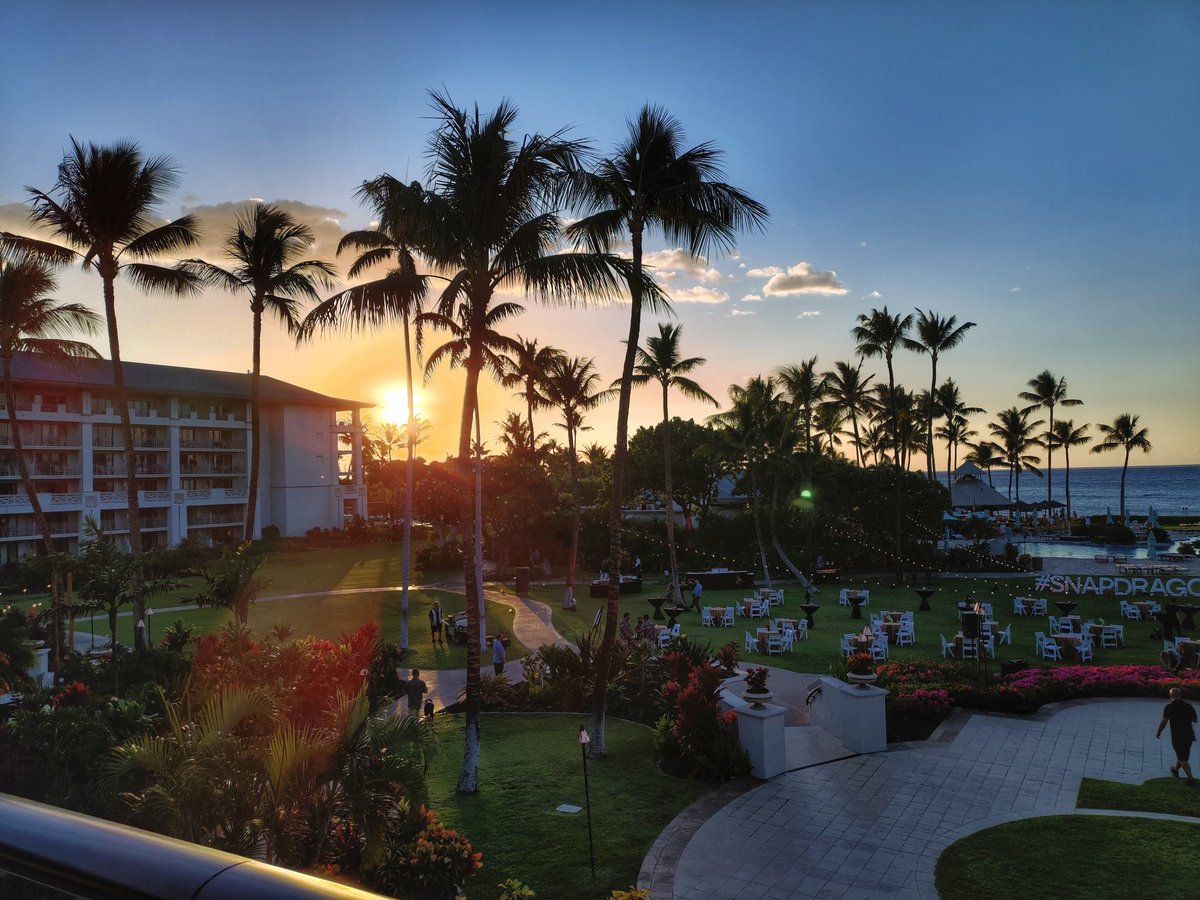 TechVamp© tweet media