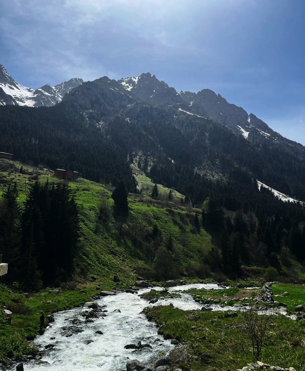 cortis_giselle's tweet image. #REDRED &amp;amp; #GREENGREEN but it’s from my camera roll