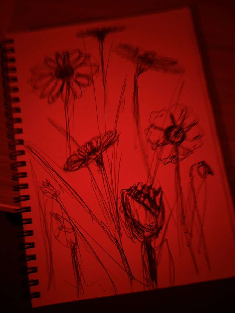 cortis_giselle's tweet image. #REDRED &amp;amp; #GREENGREEN but it’s from my camera roll