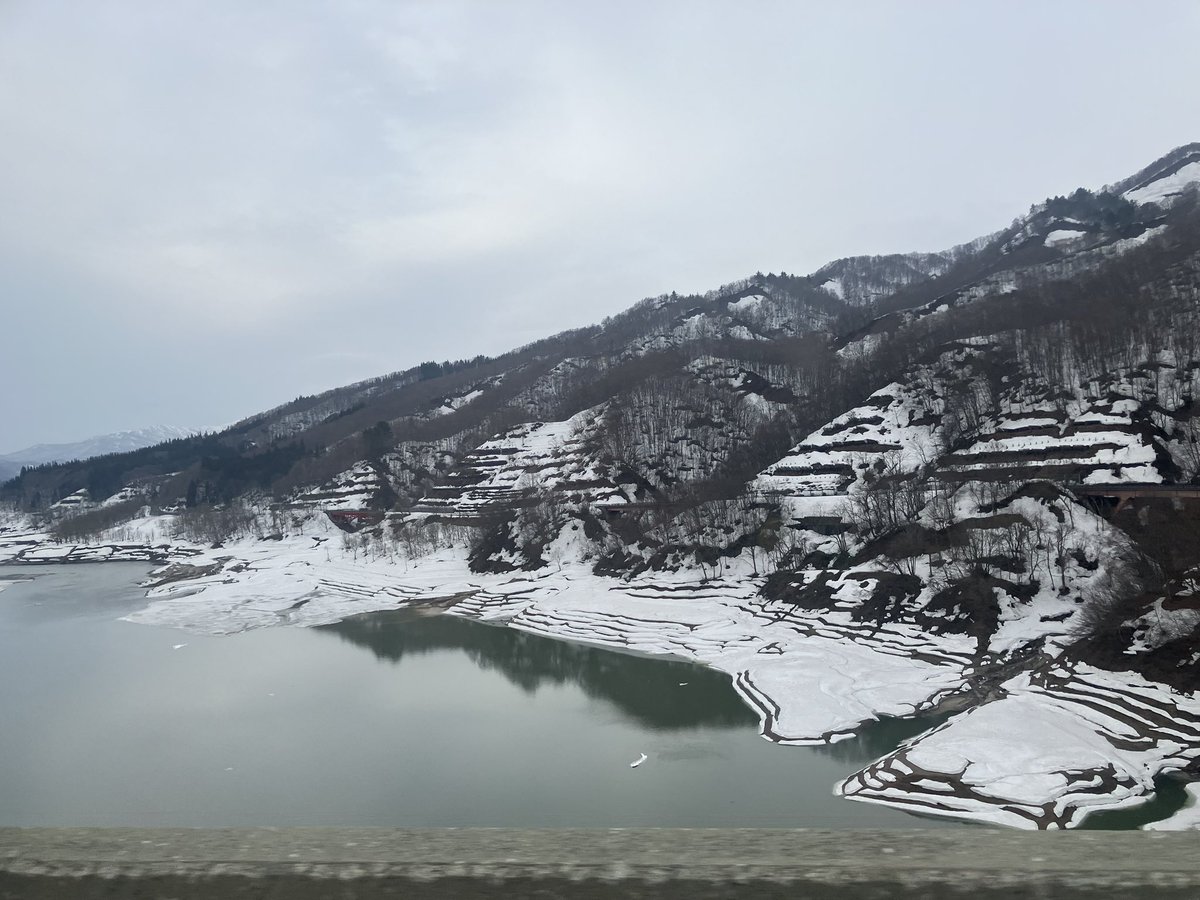 ふなみ tweet media