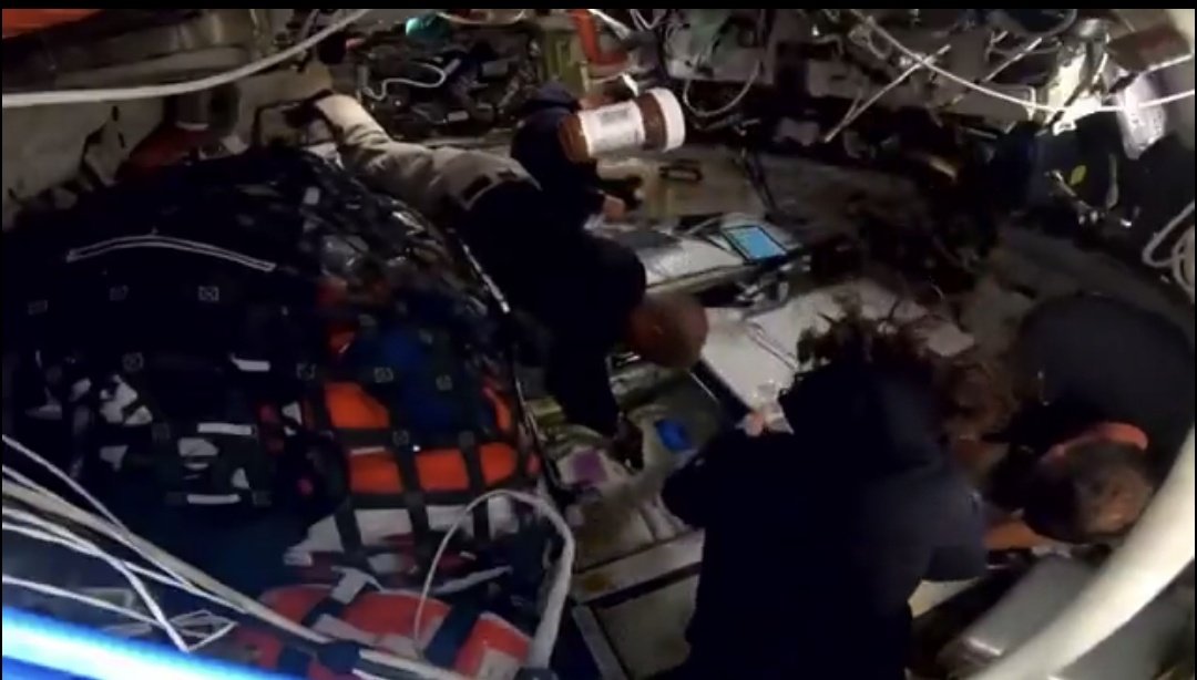 artificialFly tweet media