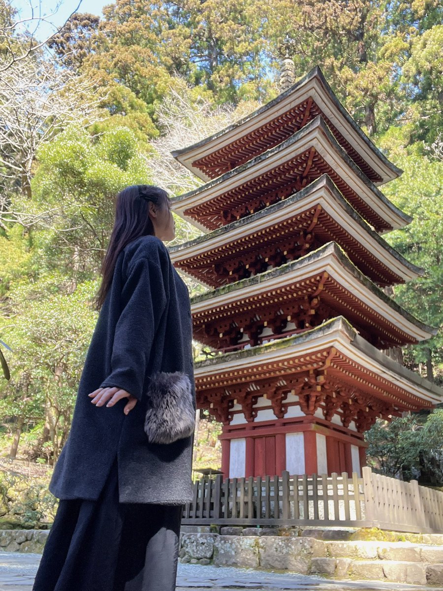 穂坂ゆき🦋🌻 tweet media