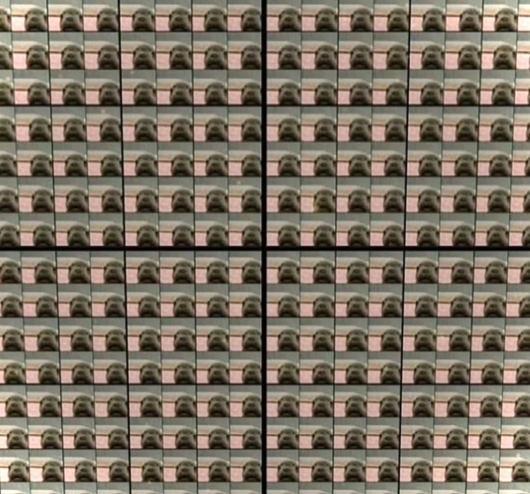 no context memes (@weirddalle) on Twitter photo 