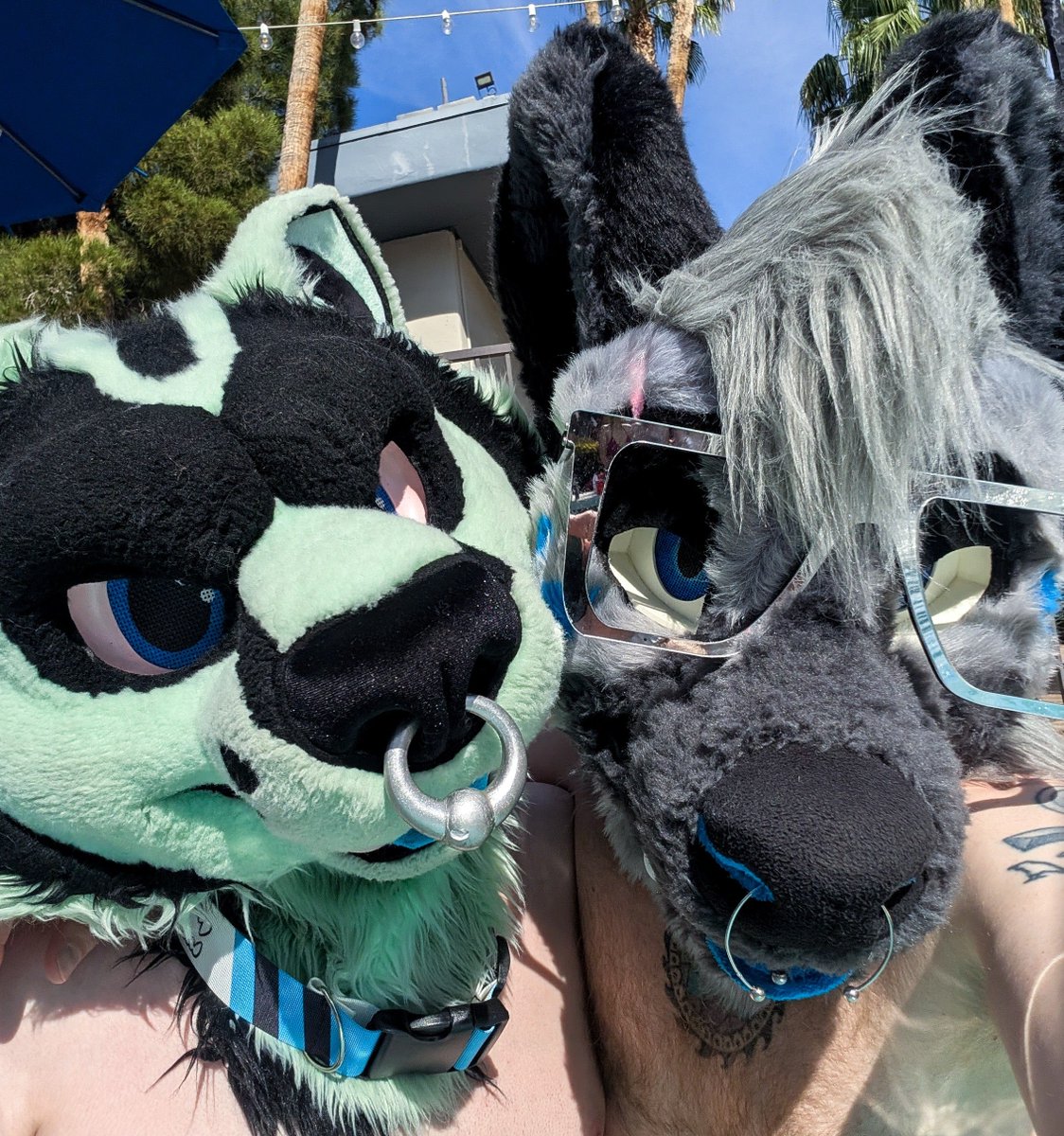 Smoke Hyena (Hash) tweet media