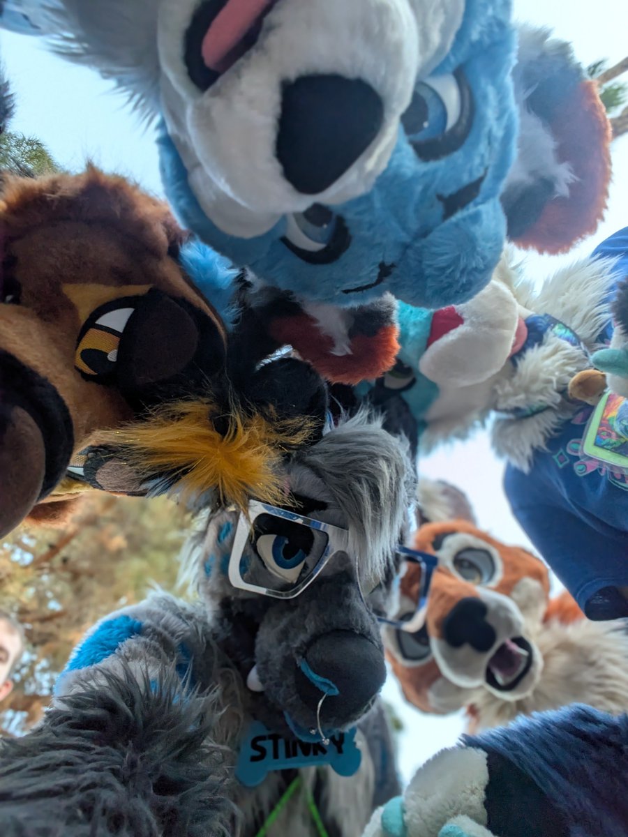 Smoke Hyena (Hash) tweet media