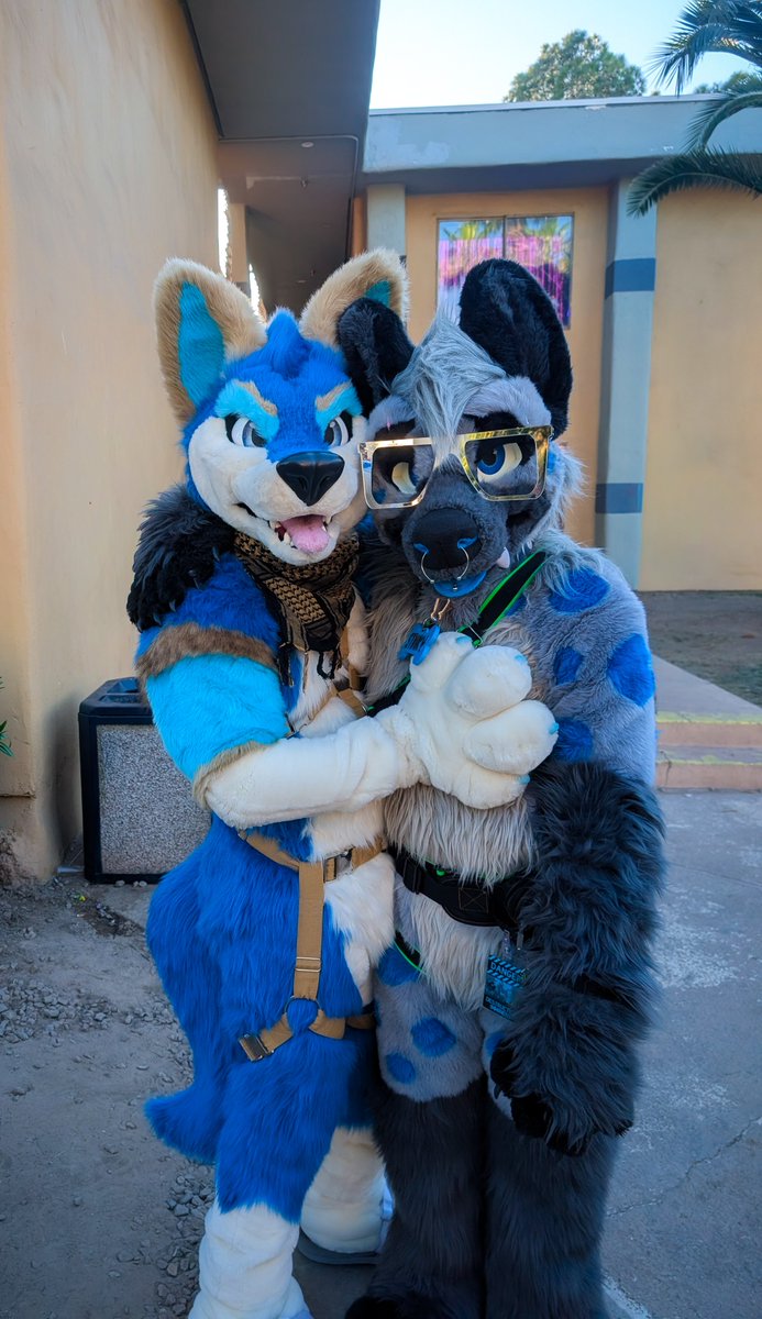 Smoke Hyena (Hash) tweet media