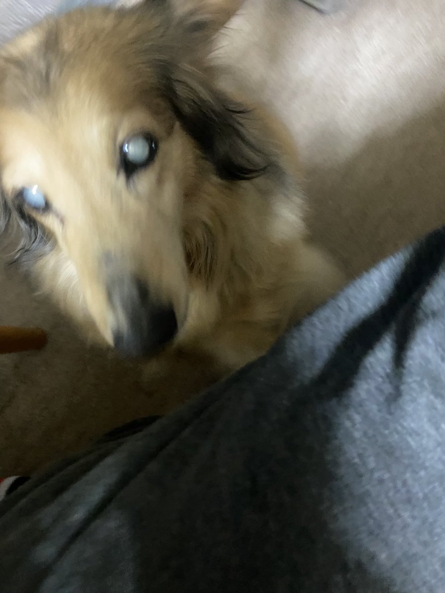 三代目　二郎　札幌 tweet media