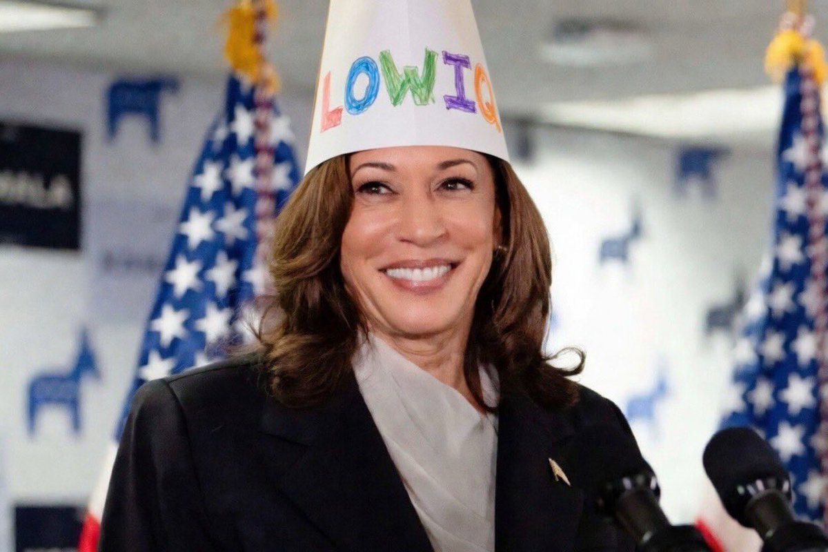 IFindIQs tweet media