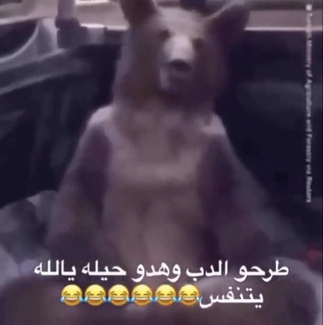 :Dř♬mös.mp3 tweet media